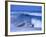 Big Surf at Papohaku Beach, Molokai, Hawaii, USA-Karl Lehmann-Framed Photographic Print