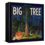 Big Tree Brand - Lemon Cove, California - Citrus Crate Label-Lantern Press-Framed Stretched Canvas