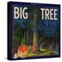 Big Tree Brand - Lemon Cove, California - Citrus Crate Label-Lantern Press-Stretched Canvas