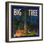 Big Tree Brand - Lemon Cove, California - Citrus Crate Label-Lantern Press-Framed Art Print