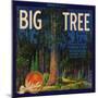 Big Tree Brand - Lemon Cove, California - Citrus Crate Label-Lantern Press-Mounted Art Print