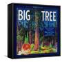 Big Tree Orange Label - Woodlake, CA-Lantern Press-Framed Stretched Canvas