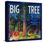 Big Tree Orange Label - Woodlake, CA-Lantern Press-Stretched Canvas
