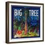 Big Tree Orange Label - Woodlake, CA-Lantern Press-Framed Art Print