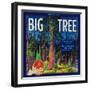 Big Tree Orange Label - Woodlake, CA-Lantern Press-Framed Art Print