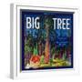 Big Tree Orange Label - Woodlake, CA-Lantern Press-Framed Art Print