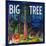 Big Tree Orange Label - Woodlake, CA-Lantern Press-Mounted Art Print