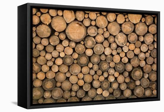 Big Wall of Stacked Wood Logs Showing Natural Discoloration-badboo-Framed Stretched Canvas