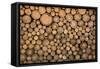Big Wall of Stacked Wood Logs Showing Natural Discoloration-badboo-Framed Stretched Canvas