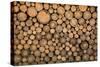 Big Wall of Stacked Wood Logs Showing Natural Discoloration-badboo-Stretched Canvas