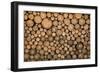 Big Wall of Stacked Wood Logs Showing Natural Discoloration-badboo-Framed Photographic Print
