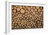 Big Wall of Stacked Wood Logs Showing Natural Discoloration-badboo-Framed Photographic Print