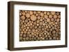 Big Wall of Stacked Wood Logs Showing Natural Discoloration-badboo-Framed Photographic Print