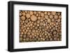 Big Wall of Stacked Wood Logs Showing Natural Discoloration-badboo-Framed Photographic Print