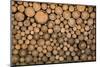 Big Wall of Stacked Wood Logs Showing Natural Discoloration-badboo-Mounted Photographic Print