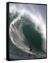 Big Wave Surfing, Waimea Bay, Hawaii-Ronen Zilberman-Framed Stretched Canvas