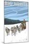 Big White - Dog Sled Scene-Lantern Press-Mounted Art Print