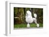 Big White Poodle Stands on the Path in the Park. Exterior-Dulova Olga-Framed Photographic Print