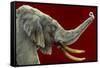 Big Wine-Will Bullas-Framed Stretched Canvas