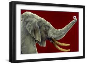 Big Wine-Will Bullas-Framed Giclee Print