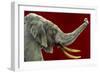 Big Wine-Will Bullas-Framed Giclee Print