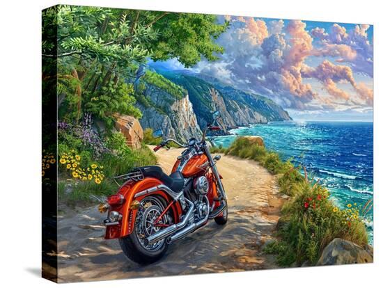 Stretched Canvas Print, , large