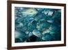 Bigeye trevally or jack shoal, Sipadan, Malaysia-Georgette Douwma-Framed Photographic Print