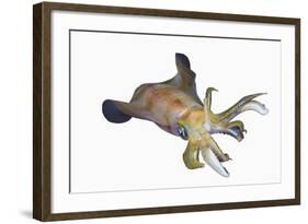 Bigfin Reef Squid (Sepioteuthis Lessoniana)-Reinhard Dirscherl-Framed Photographic Print