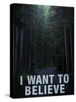 Bigfoot I Want to Believe-null-Stretched Canvas