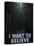 Bigfoot I Want to Believe-null-Stretched Canvas