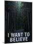 Bigfoot I Want to Believe-null-Mounted Poster