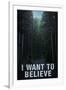 BigfootI Want To Believe-null-Framed Art Print