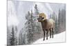 Bighorn in Snow-Michael Blanchette-Mounted Giclee Print