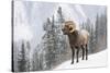 Bighorn in Snow-Michael Blanchette-Stretched Canvas