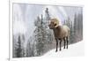 Bighorn in Snow-Michael Blanchette-Framed Giclee Print