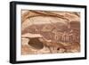 Bighorn Sheep and Symbol Petroglyphs, Gold Butte, Nevada, United States of America, North America-James Hager-Framed Photographic Print