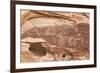 Bighorn Sheep and Symbol Petroglyphs, Gold Butte, Nevada, United States of America, North America-James Hager-Framed Photographic Print
