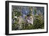 Bighorn sheep, Glacier National Park, Montana, USA-Yitzi Kessock-Framed Photographic Print