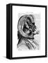 Bighorn Sheep in Suit-Fab Funky-Framed Stretched Canvas