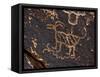 Bighorn Sheep Petroglyph, Petrified Forest National Park, Arizona, USA-James Hager-Framed Stretched Canvas