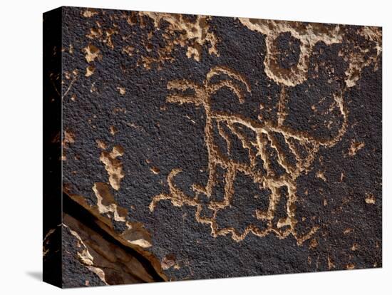 Bighorn Sheep Petroglyph, Petrified Forest National Park, Arizona, USA-James Hager-Stretched Canvas