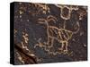 Bighorn Sheep Petroglyph, Petrified Forest National Park, Arizona, USA-James Hager-Stretched Canvas