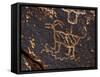 Bighorn Sheep Petroglyph, Petrified Forest National Park, Arizona, USA-James Hager-Framed Stretched Canvas