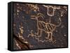 Bighorn Sheep Petroglyph, Petrified Forest National Park, Arizona, USA-James Hager-Framed Stretched Canvas