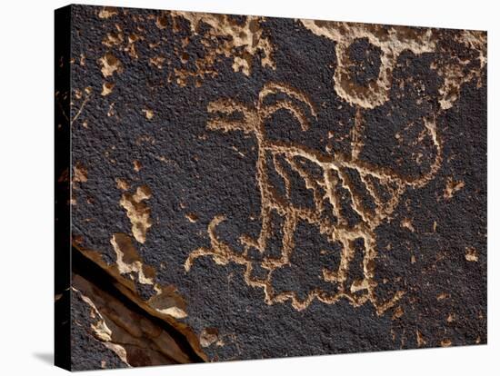 Bighorn Sheep Petroglyph, Petrified Forest National Park, Arizona, USA-James Hager-Stretched Canvas
