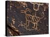 Bighorn Sheep Petroglyph, Petrified Forest National Park, Arizona, USA-James Hager-Stretched Canvas
