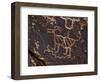 Bighorn Sheep Petroglyph, Petrified Forest National Park, Arizona, USA-James Hager-Framed Photographic Print