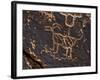 Bighorn Sheep Petroglyph, Petrified Forest National Park, Arizona, USA-James Hager-Framed Photographic Print
