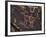 Bighorn Sheep Petroglyph, Petrified Forest National Park, Arizona, USA-James Hager-Framed Photographic Print