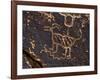 Bighorn Sheep Petroglyph, Petrified Forest National Park, Arizona, USA-James Hager-Framed Photographic Print